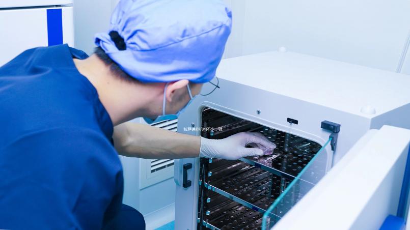 拉薩供卵機(jī)構(gòu)不少，做一次三代試管生男孩費(fèi)用沒(méi)你想的高