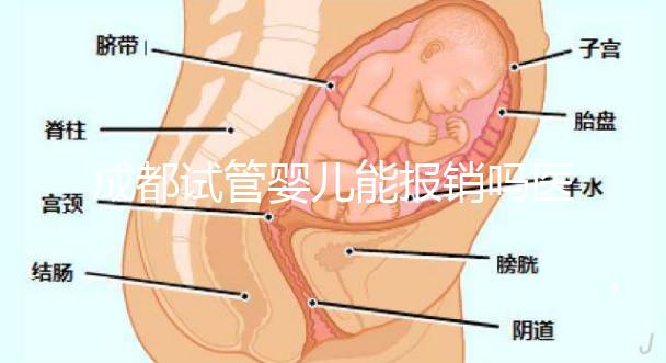 成都試管嬰兒能報銷嗎醫(yī)保?政策解讀