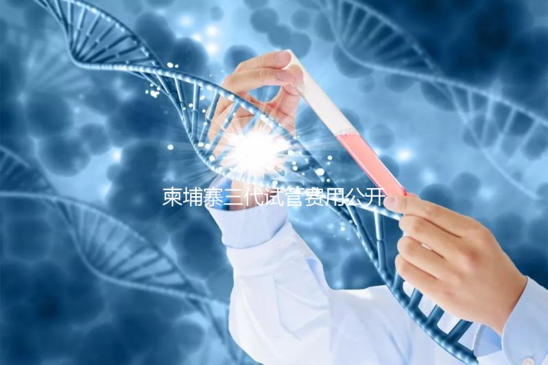 柬埔寨三代試管費(fèi)用公開，不同項目價格不同