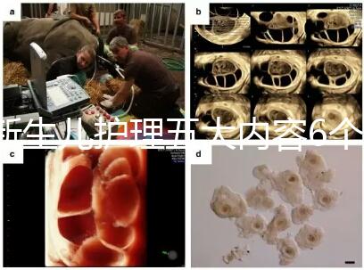 新生兒護理五大內容6個要點整理，嬰兒養(yǎng)育照護干貨來了