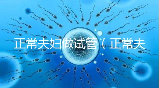 正常夫婦做試管（正常夫婦做試管嬰兒成功率多少）