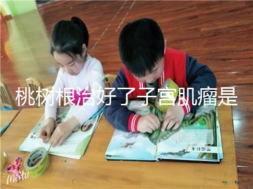 桃樹根治好了子宮肌瘤是謠言？和豬肉一起吃效果真不賴