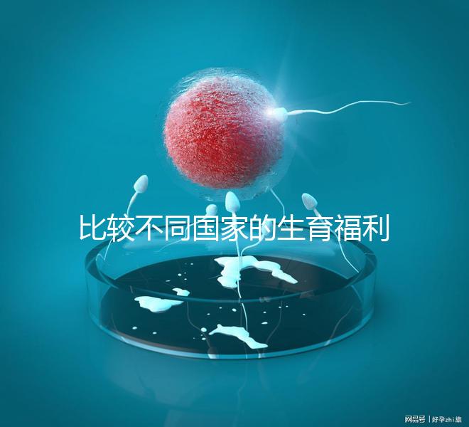 比較不同國家的生育福利｜生孩子還能拿到錢嗎？