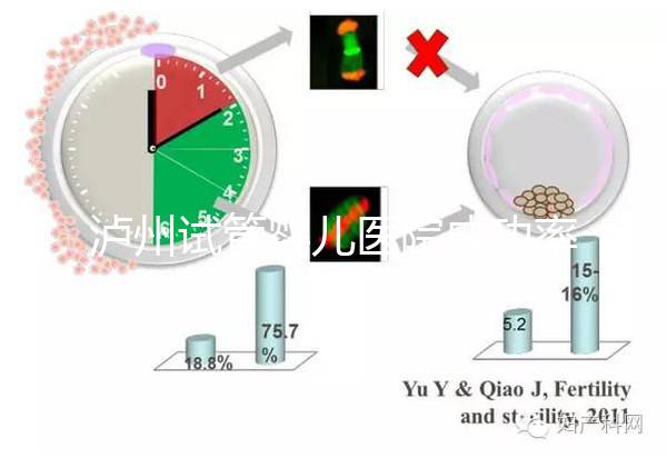 瀘州試管嬰兒醫院成功率排名，西南醫科大學附屬醫院上榜
