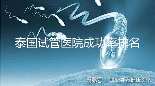 泰國試管醫院成功率排名公布，這些詳細介紹，為您提供選擇參考！