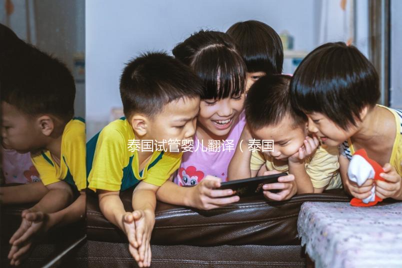 泰國(guó)試管嬰兒翻譯(泰國(guó)試管嬰兒翻譯費(fèi)用)
