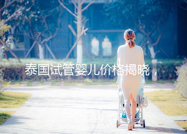 泰國試管嬰兒價格揭曉，來看看需要準備多少錢