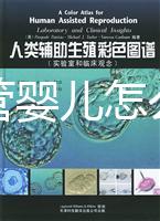 泰國(guó)試管嬰兒怎么樣(泰國(guó)試管嬰兒好嗎)