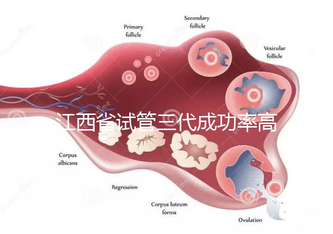 江西省試管三代成功率高的醫(yī)院有哪些