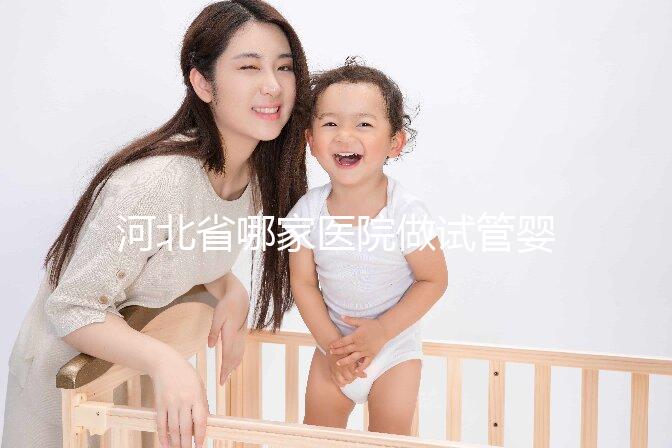 河北省哪家醫院做試管嬰兒好？這5家醫院成功上榜！