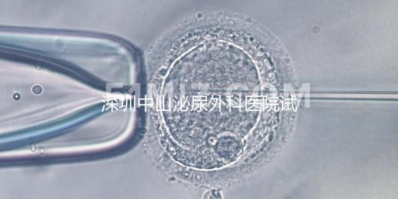 深圳中山泌尿外科醫院試管成功率參考，一次就中并非神話