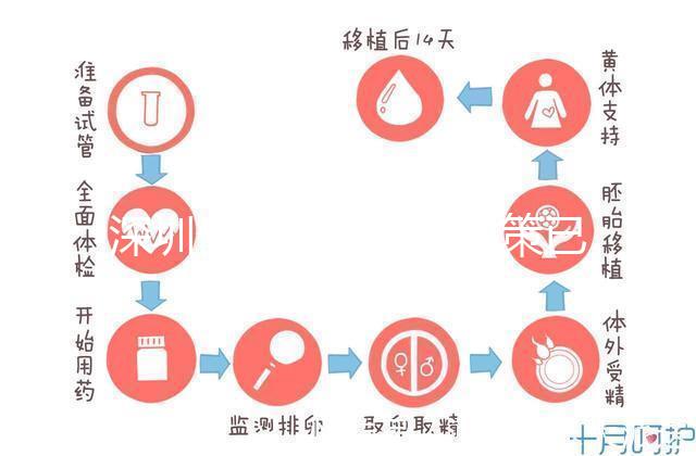 深圳最新獨生子女政策已出爐，羅湖、南山區補貼金均有提高