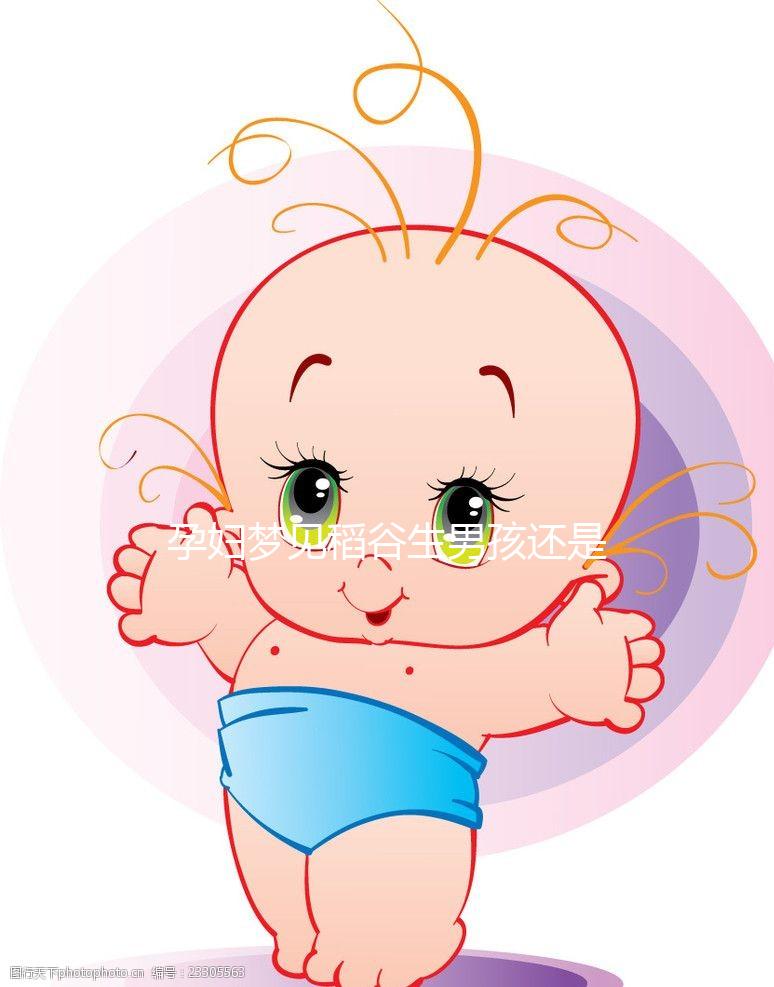 孕婦夢(mèng)見稻谷生男孩還是生女孩?相關(guān)胎夢(mèng)含義解讀