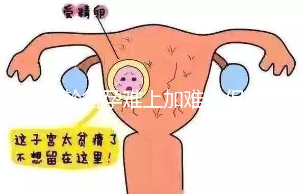 大齡備孕難上加難，但為什么越年輕的女性越容易懷孕？