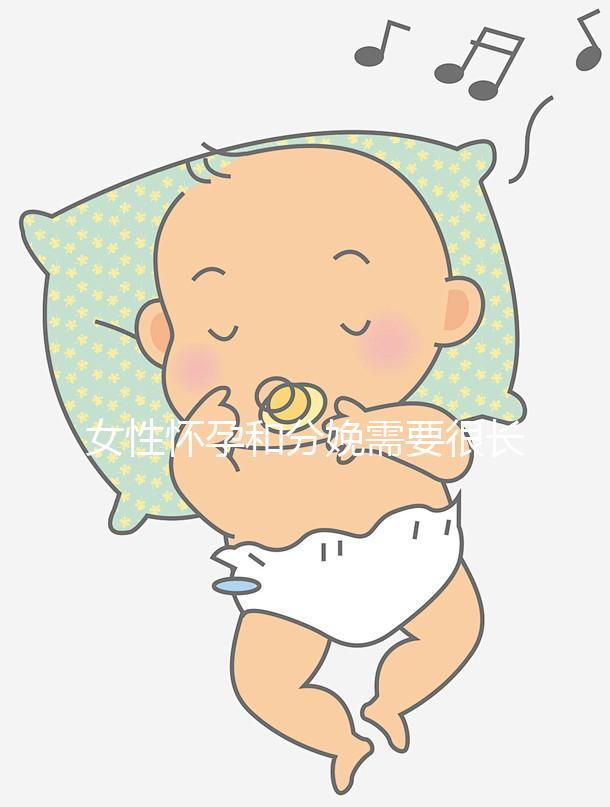 女性懷孕和分娩需要很長(zhǎng)時(shí)間