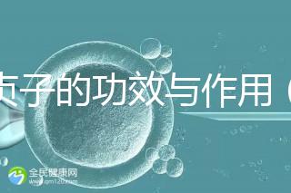 女貞子的功效與作用（女貞子是熱性還是寒性）