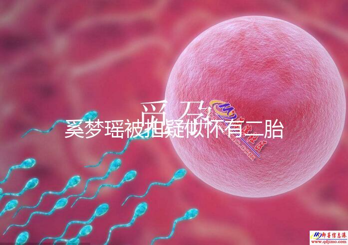 奚夢瑤被拍疑似懷有二胎，四太陪同產檢未見何猷君