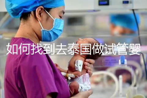 如何找到去泰國做試管嬰兒的本地翻譯？內部搜索可靠的本地翻譯方法分析