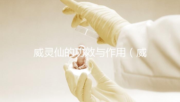 威靈仙的功效與作用（威靈仙主治什么病）