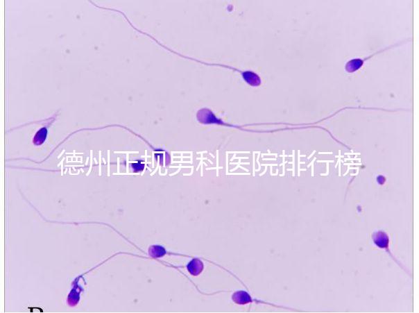 德州正規(guī)男科醫(yī)院排行榜分享！2024哪個最好一看便知