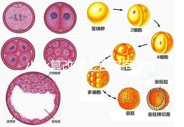小伙篡改了上百名同學中考志愿，這些預(yù)防知識多么重要！