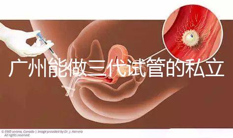 廣州能做三代試管的私立醫院排名一覽表,看看你心儀的在不在其中