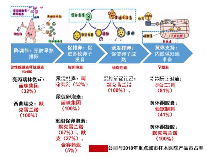 年齡越大越難懷孕！來(lái)看看44歲試管嬰兒的成功率有多少？
