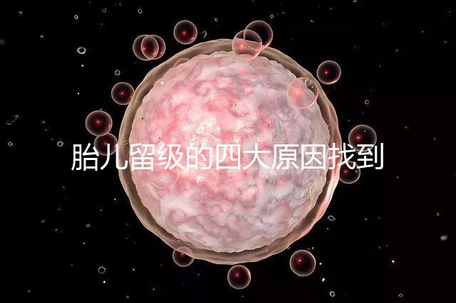 胎兒留級的四大原因找到了！多半和媽媽太懶不運動有關系