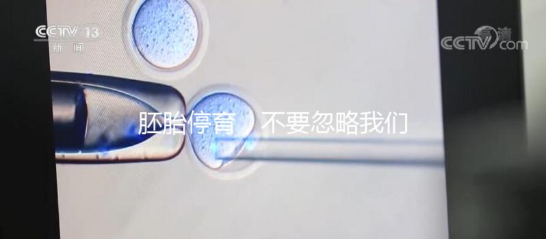 胚胎停育，不要忽略我們身邊的“隱形殺手”