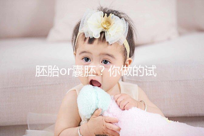 胚胎or囊胚？你做的試管嬰兒，移植的是第幾天的胚胎？