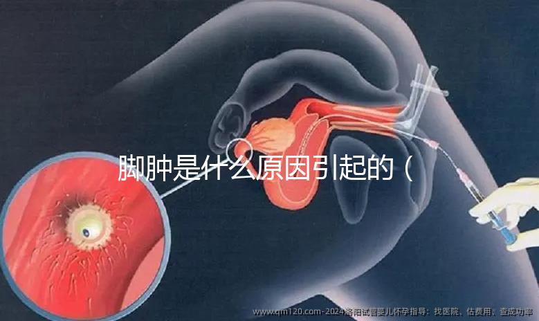 腳腫是什么原因引起的（腳腫是什么原因引起的？女性）