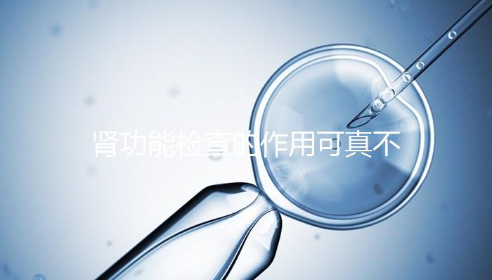 腎功能檢查的作用可真不少，讓腎臟疾病無所遁形