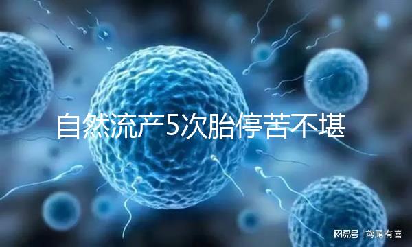 自然流產(chǎn)5次胎?？嗖豢把裕?試管嬰兒助孕一朝分娩喜之不盡！