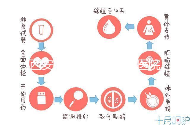 西安能做試管嬰兒的醫院哪家成功率最高？本地Top 5推薦