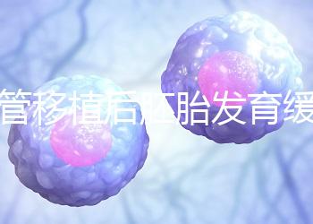 試管移植后胚胎發育緩慢，甚至胎停咋回事？3大高危因素要規避