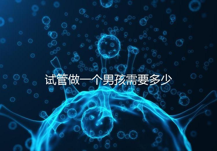試管做一個(gè)男孩需要多少錢(qián)呢
