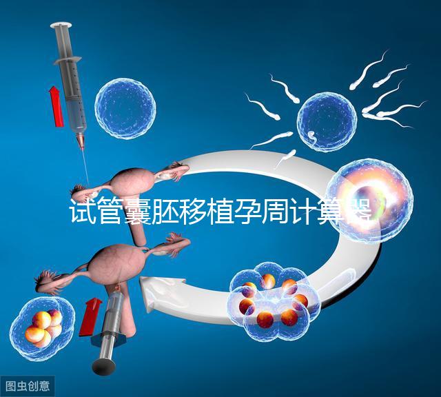 試管囊胚移植孕周計(jì)算器,試管嬰兒如何計(jì)算孕周和預(yù)產(chǎn)期