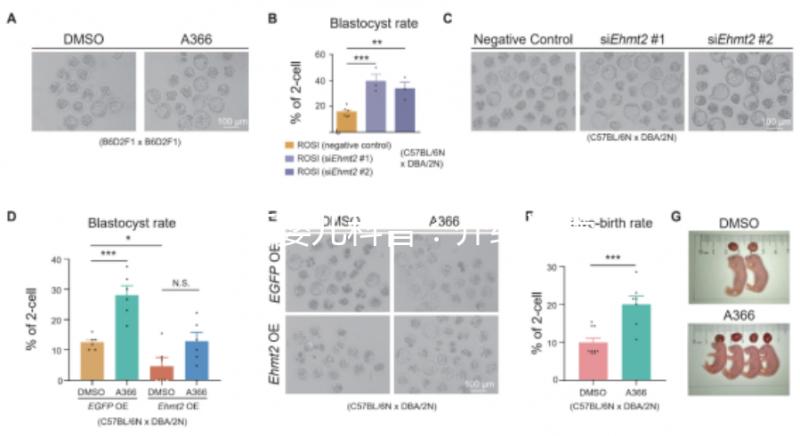 試管嬰兒科普：介紹試管嬰兒的基本概念、原理、分類、適應(yīng)癥、優(yōu)勢等