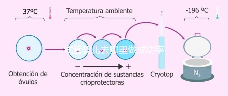 試管嬰兒去哪里做成功率高?建議:正規試管醫院醫療機構