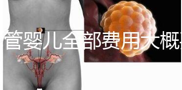 試管嬰兒全部費(fèi)用大概要多少錢(qián)？