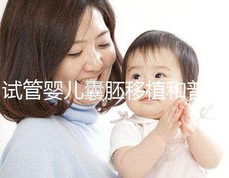 試管嬰兒囊胚移植和普通分裂期移植的區(qū)別