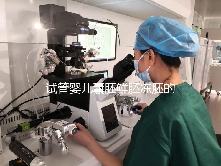 試管嬰兒囊胚鮮胚凍胚的區別是什么？鮮胚移植VS凍胚移植，哪個成功率高？