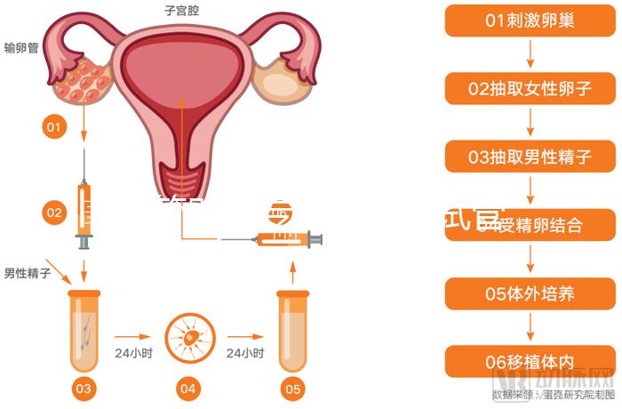 試管嬰兒專家醫院（試管嬰兒專家醫院排名）
