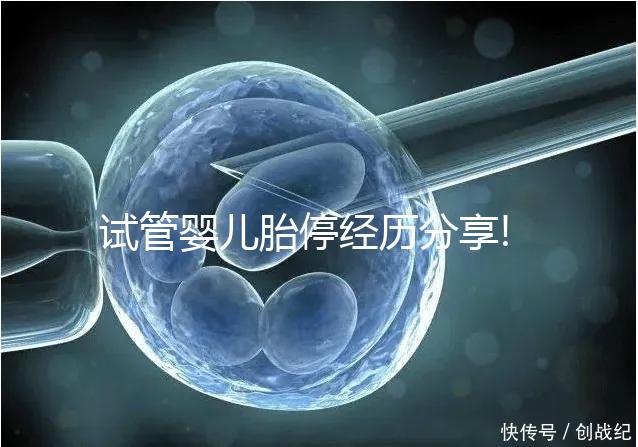 試管嬰兒胎停經歷分享!3個小經驗讓你輕松告別胚胎停止發育