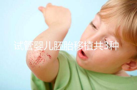 試管嬰兒胚胎移植共3種方案，成功率、技術有啥不一樣？