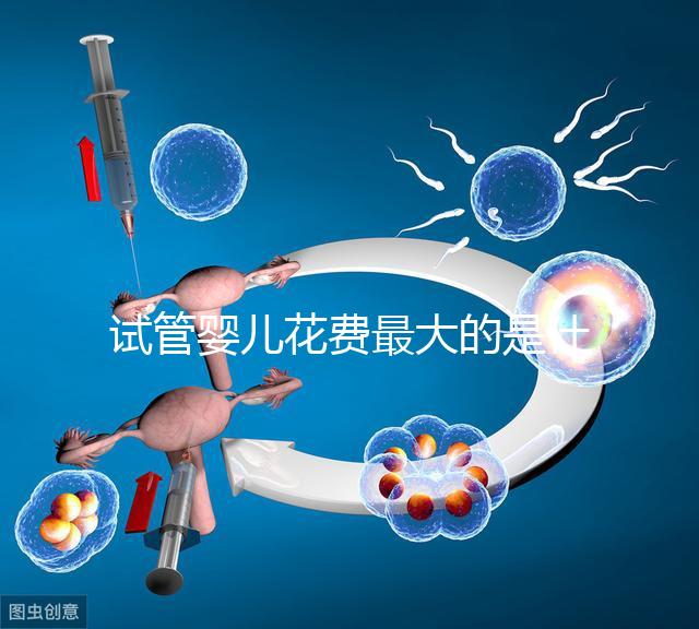 試管嬰兒花費最大的是什么？