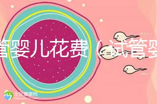 試管嬰兒花費（試管嬰兒花費多少錢？）