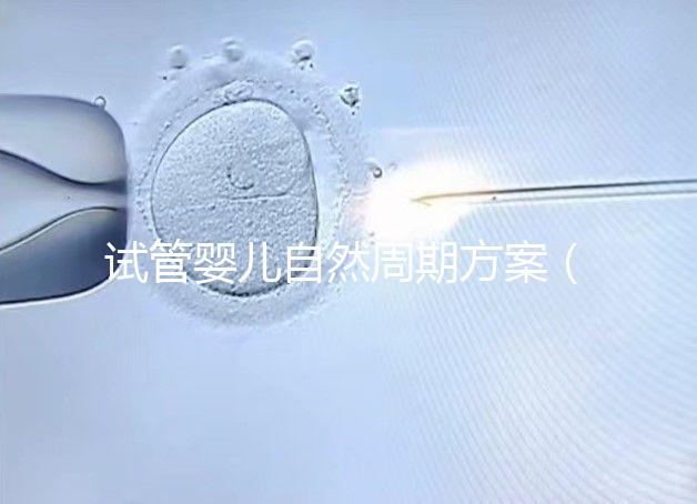 試管嬰兒自然周期方案(試管嬰兒自然周期方案B超監(jiān)測第15天了,卵泡還沒破咋辦)