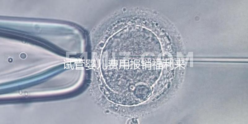 試管嬰兒費用報銷福利來了，北京納入醫保新政策已落地