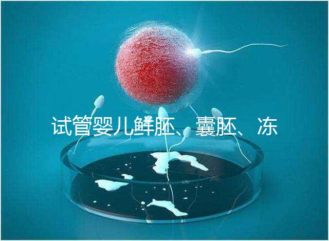試管嬰兒鮮胚、囊胚、凍胚那個成功率高？